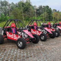 俱樂部 競技UTV越野卡丁車 雙人山地越野沙灘車