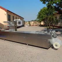 SC-520拉伸膜真空包裝機 牛肉休閑食品真空包裝設(shè)備 封口機